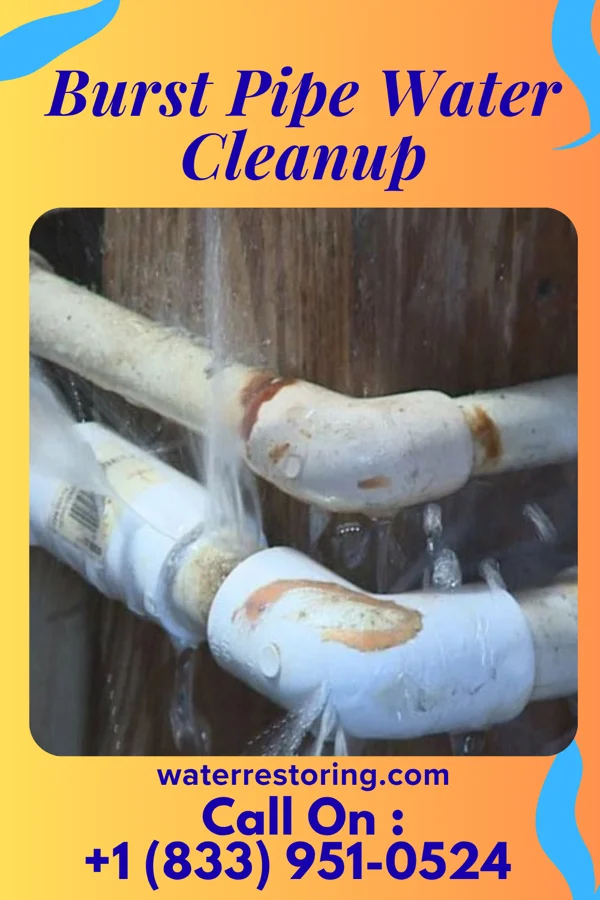 Burst Pipe Water Cleanup in Ashton, IL