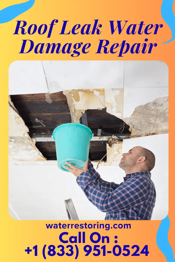 Roof Leak Water Damage Repair in Ashton, IL