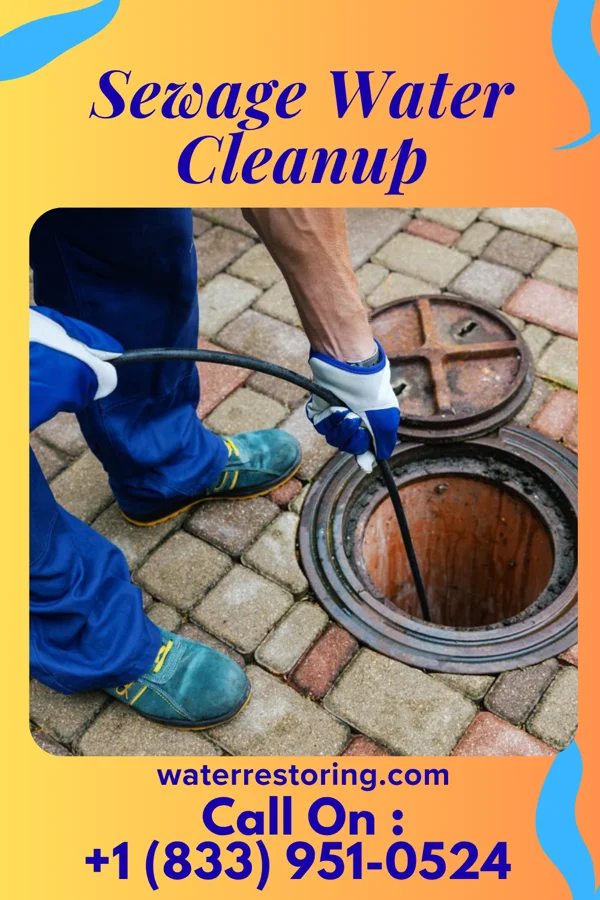 Sewage Water Cleanup in Ashton, IL